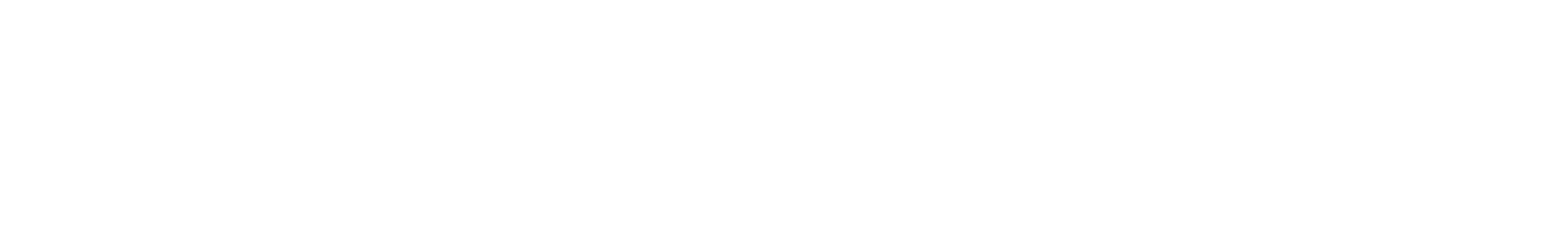 PASSKI